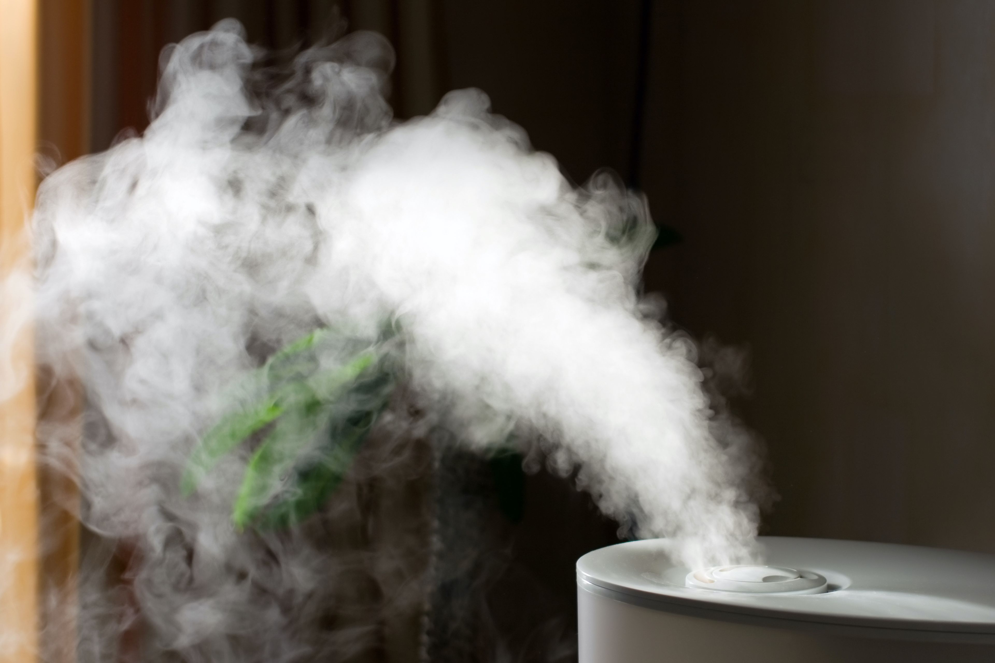 Humidificador